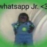 WhatsApp sênior🔰🍏